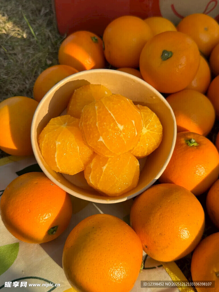 碗中鲜橙与周围橙子堆