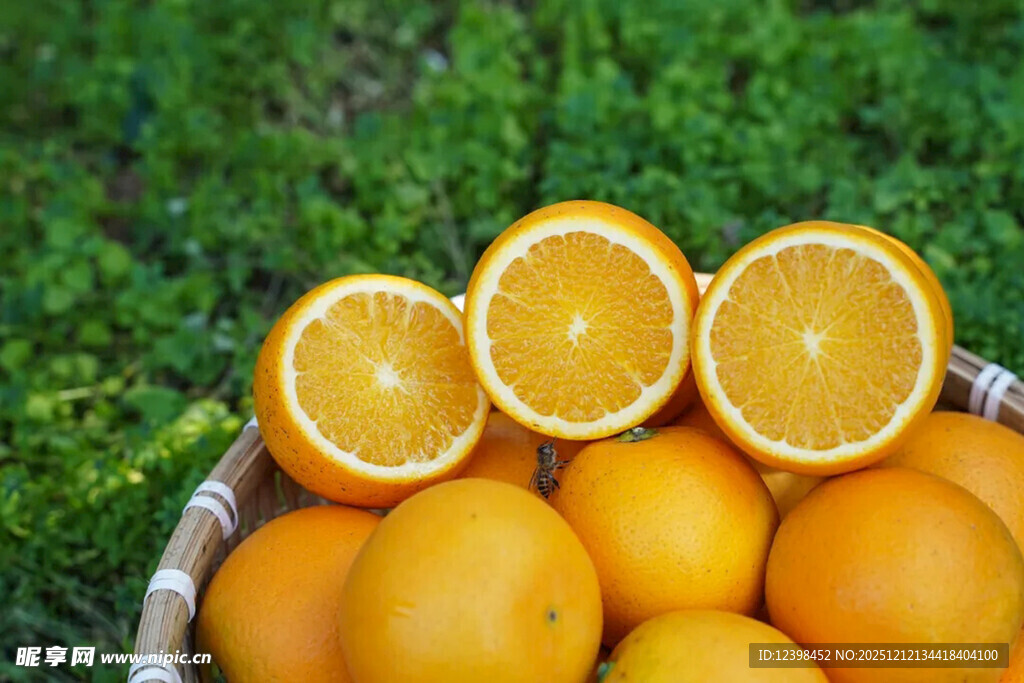 篮子里的新鲜橙子