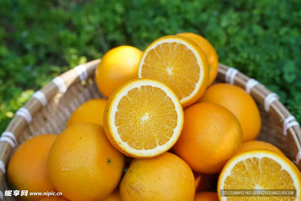 篮子里的新鲜橙子