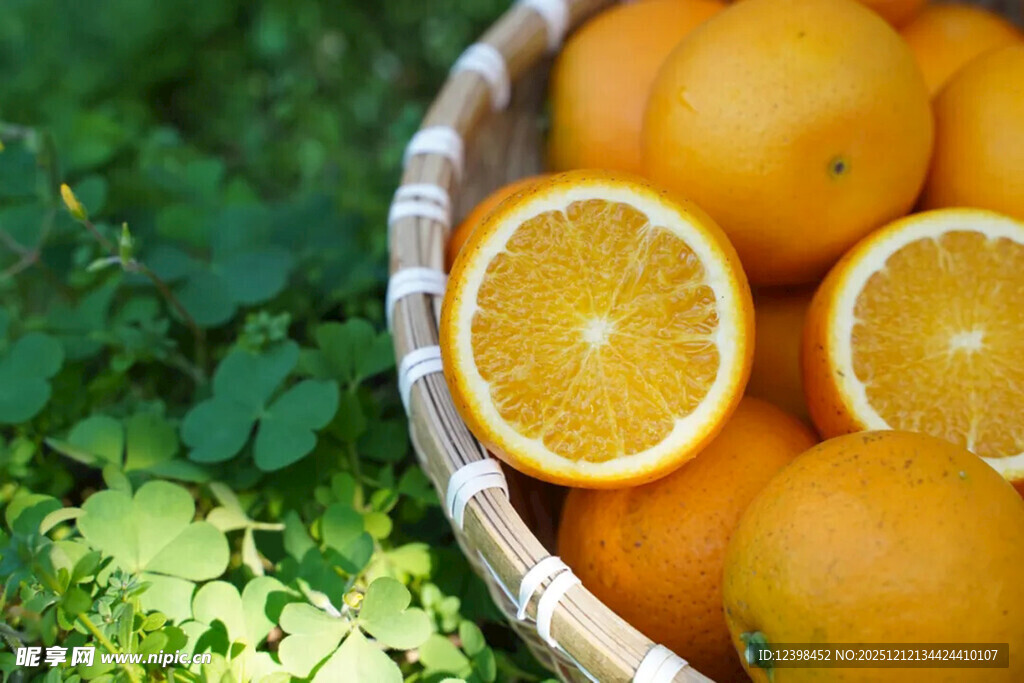 篮子里的新鲜橙子