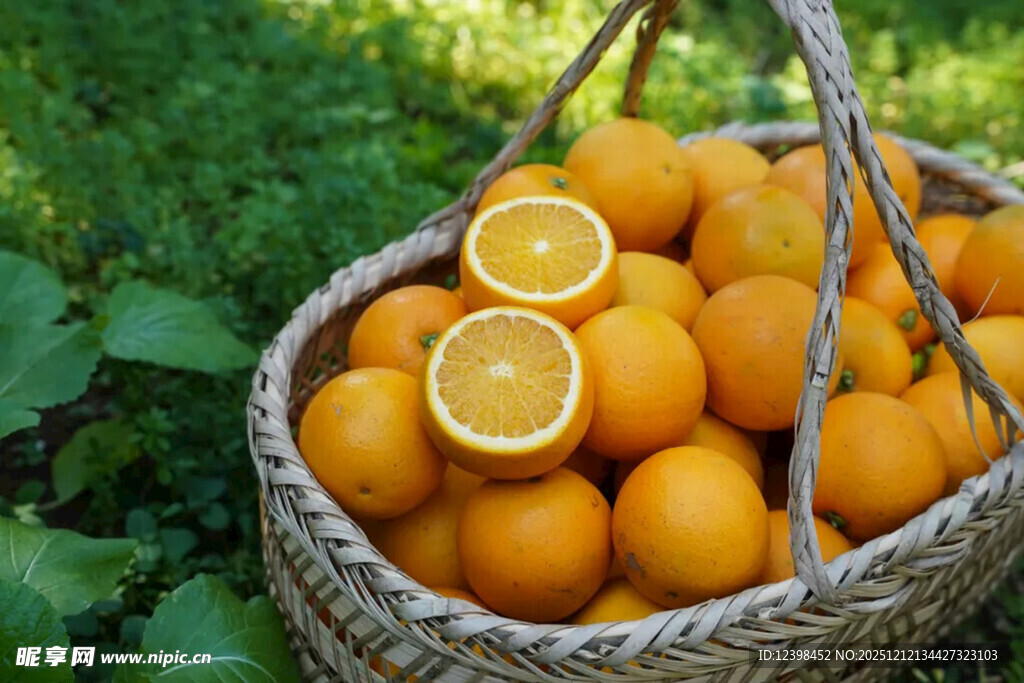 篮子里的新鲜橙子