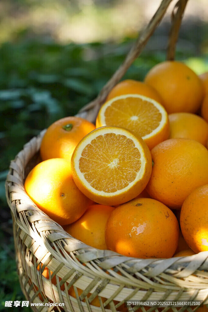 篮子里的新鲜橙子
