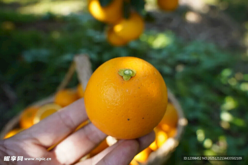 手捧鲜橙