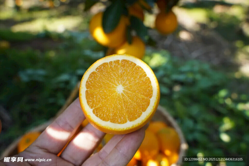 手捧半颗新鲜橙子