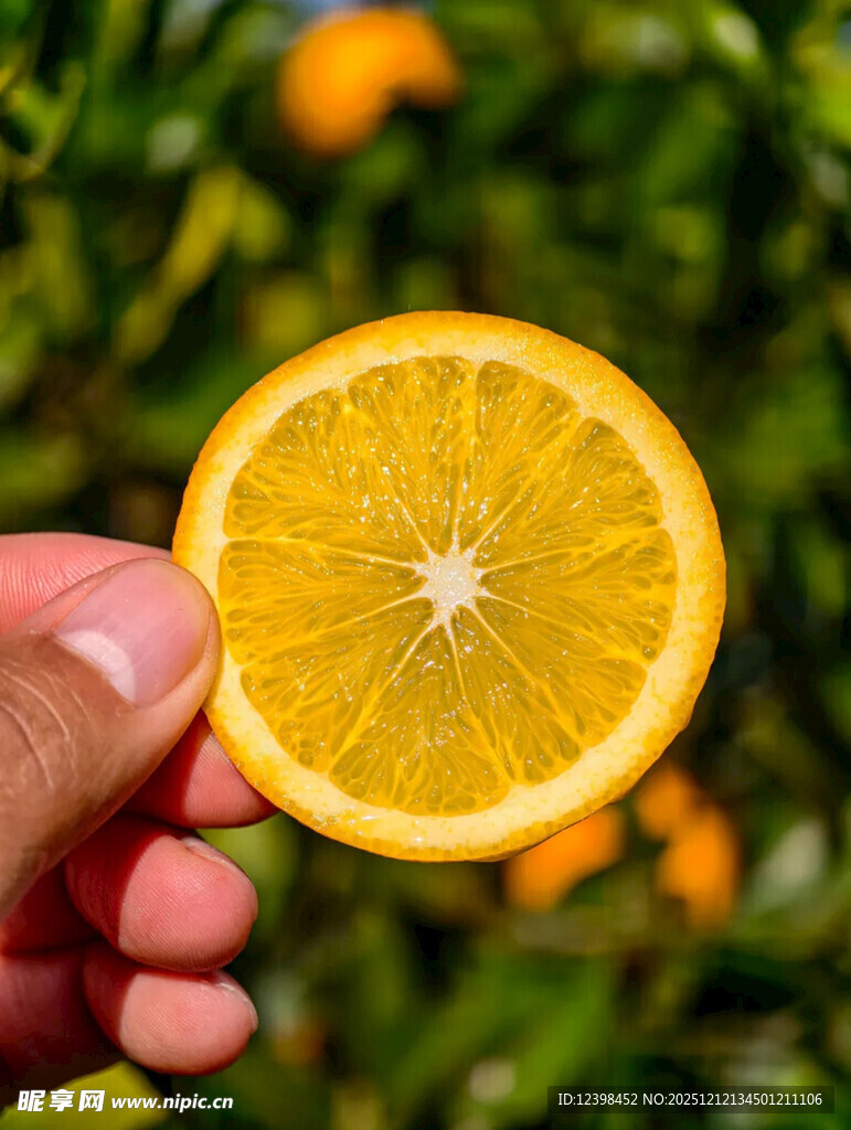 手持鲜橙切片