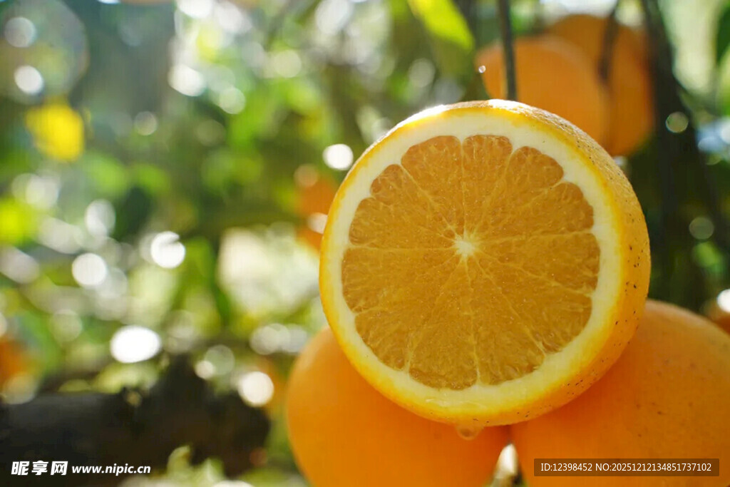 枝头半切的新鲜橙子