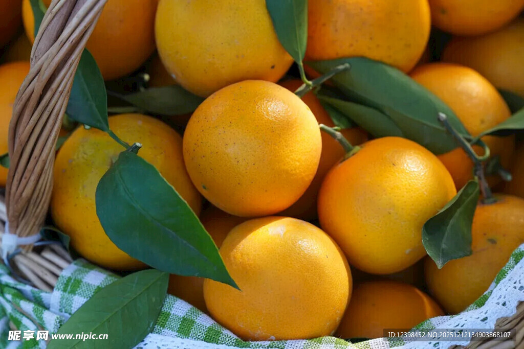篮子里的新鲜黄澄澄橘子