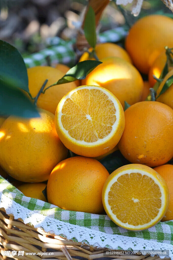 篮子里的新鲜橙子