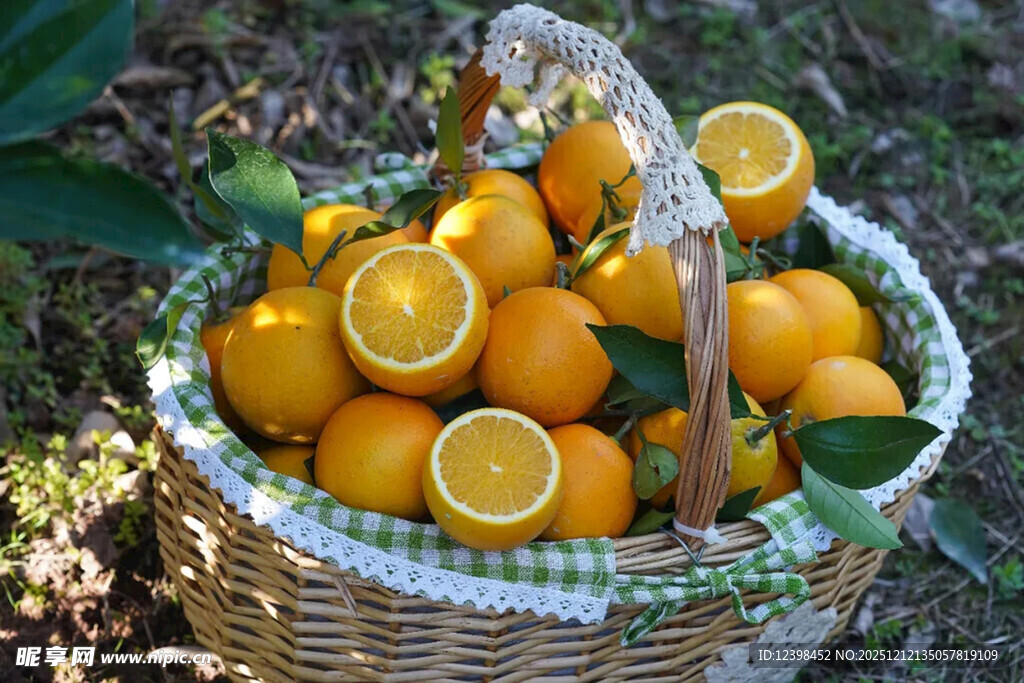 篮子里的新鲜橙子