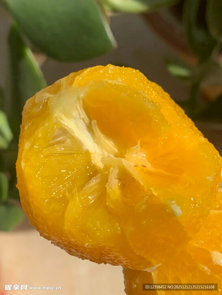 剥开的新鲜橙子果肉