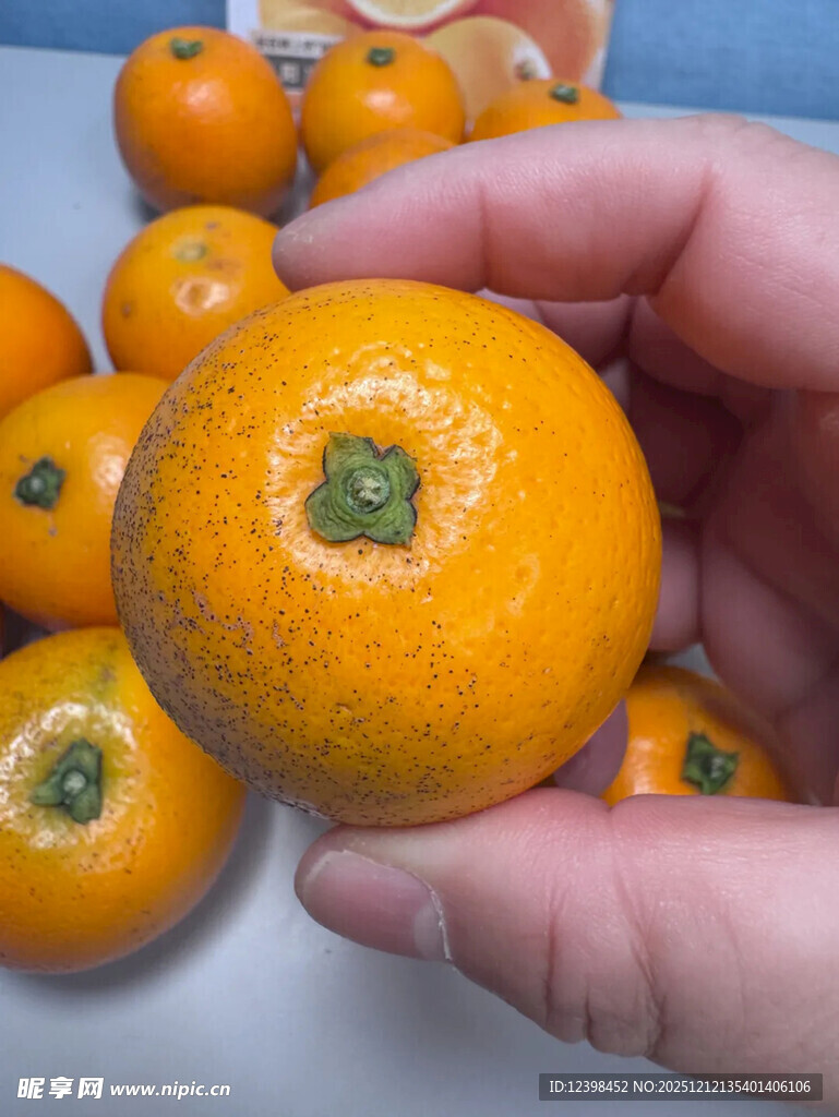 手捧新鲜饱满的小橘子