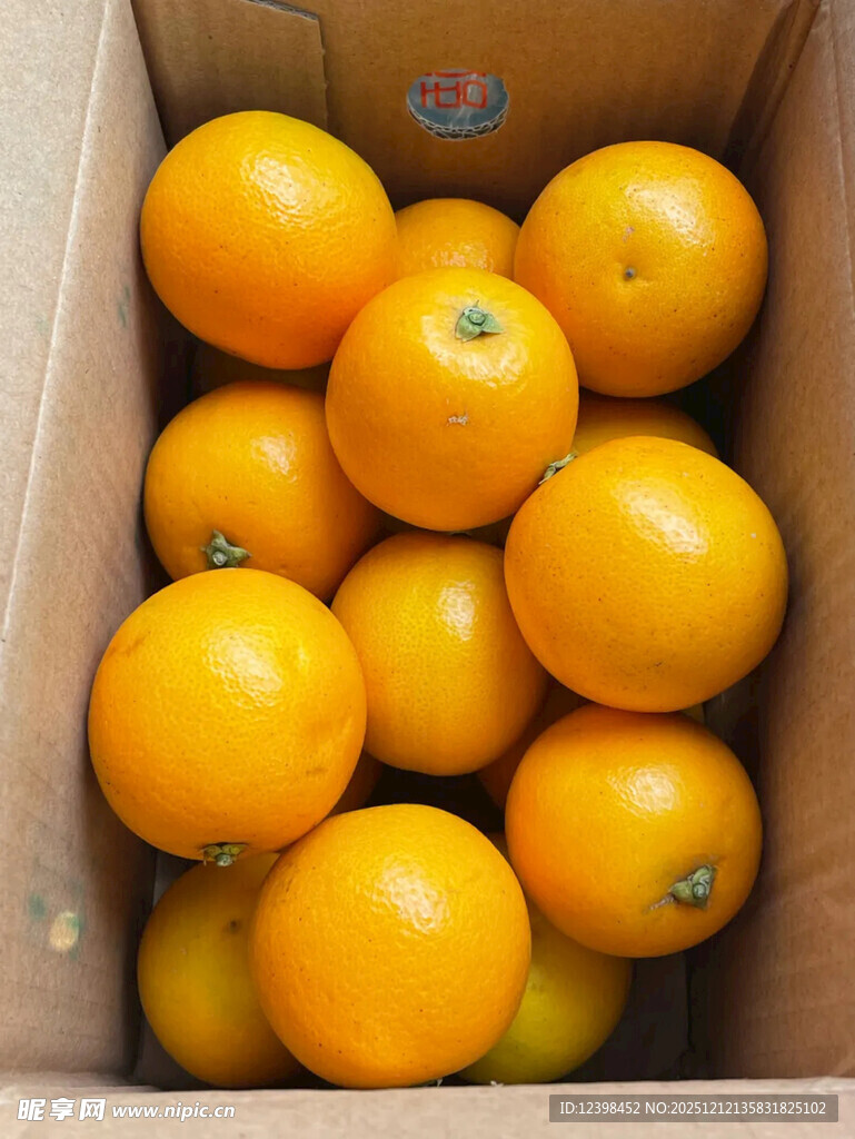 纸箱中的鲜橙