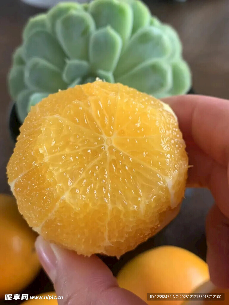 手捧剥开的新鲜黄澄澄橘子