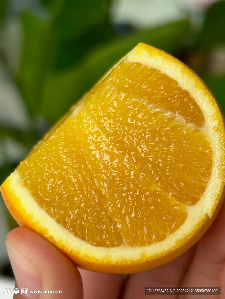 手捧鲜切橙子果肉