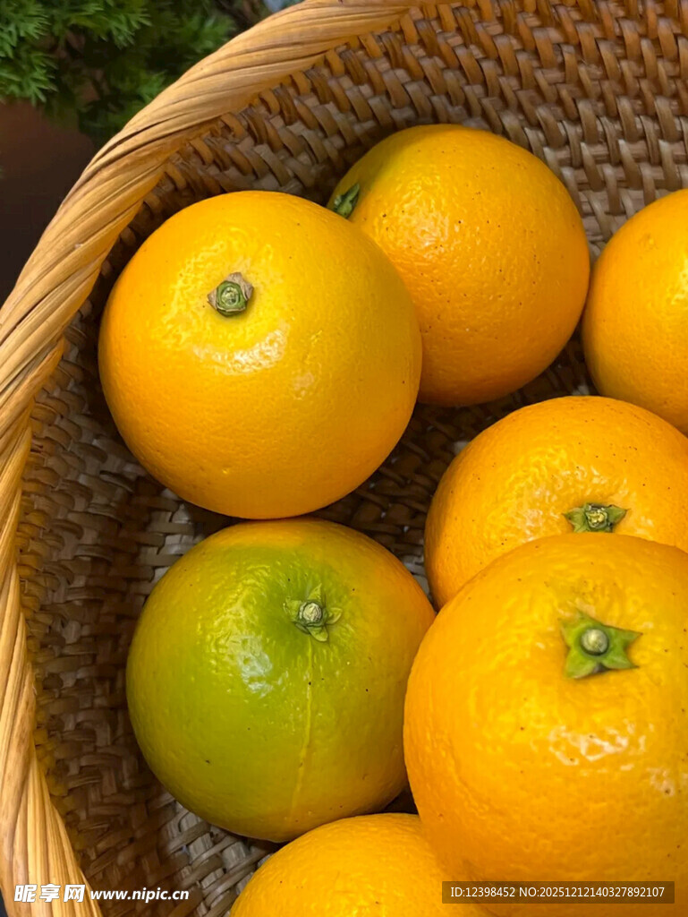 篮子里的新鲜多彩柑橘