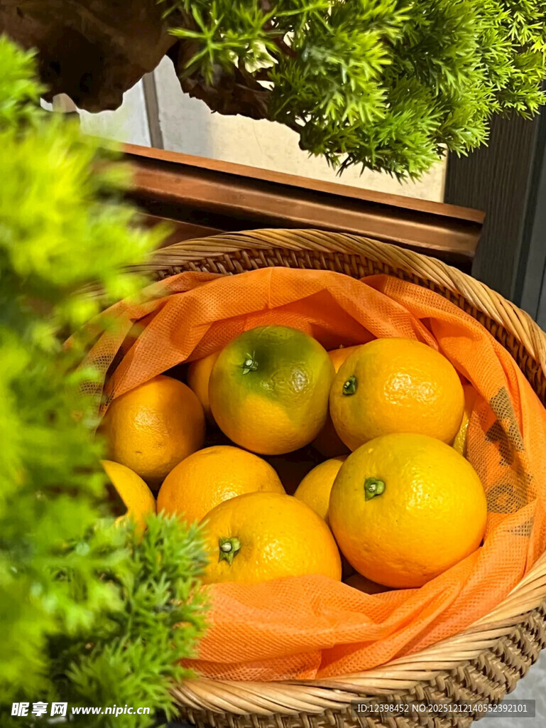 篮子里的新鲜橙子