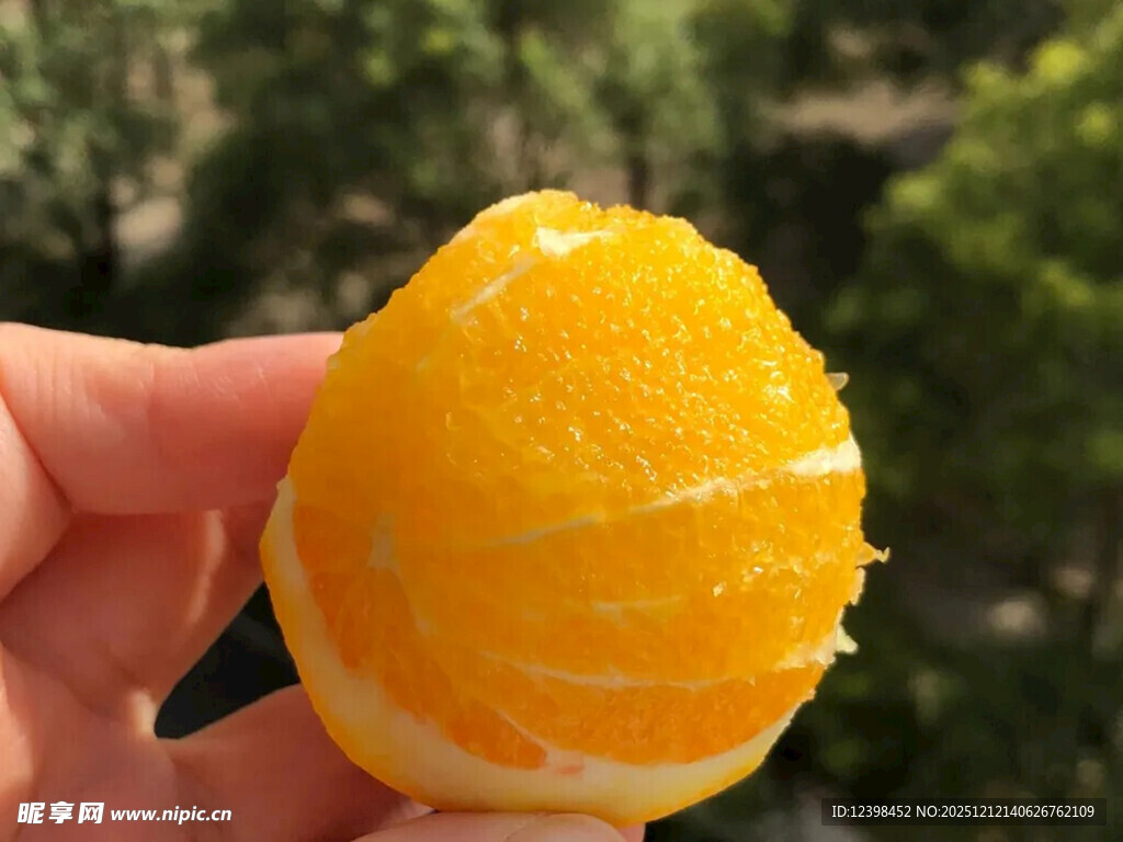 剥开的新鲜橙子