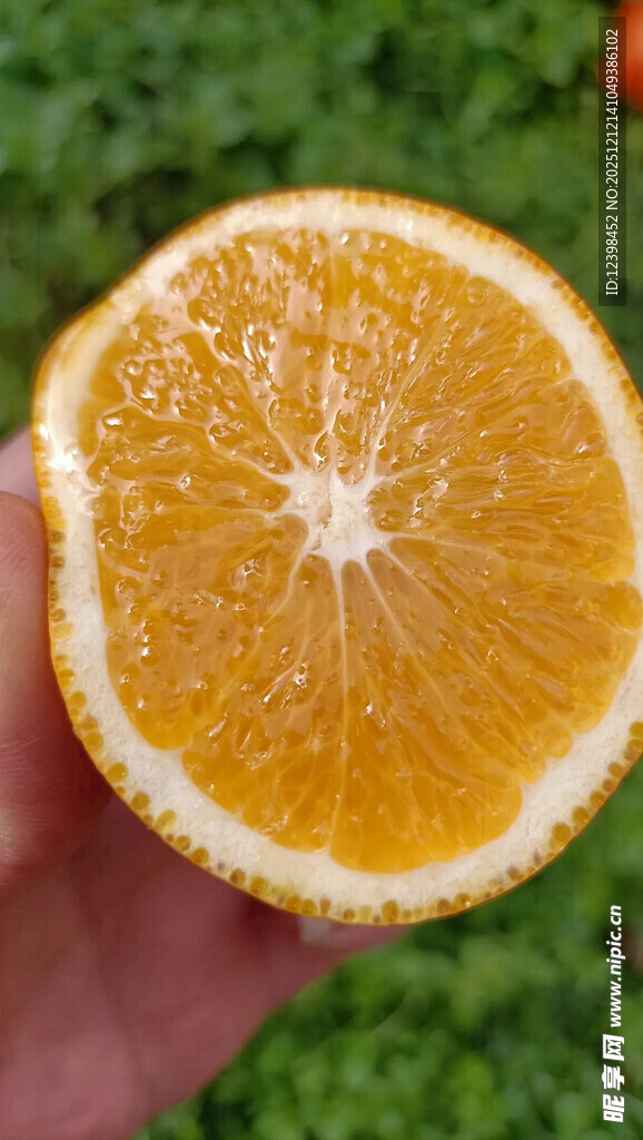 手捧半颗新鲜多汁橙子