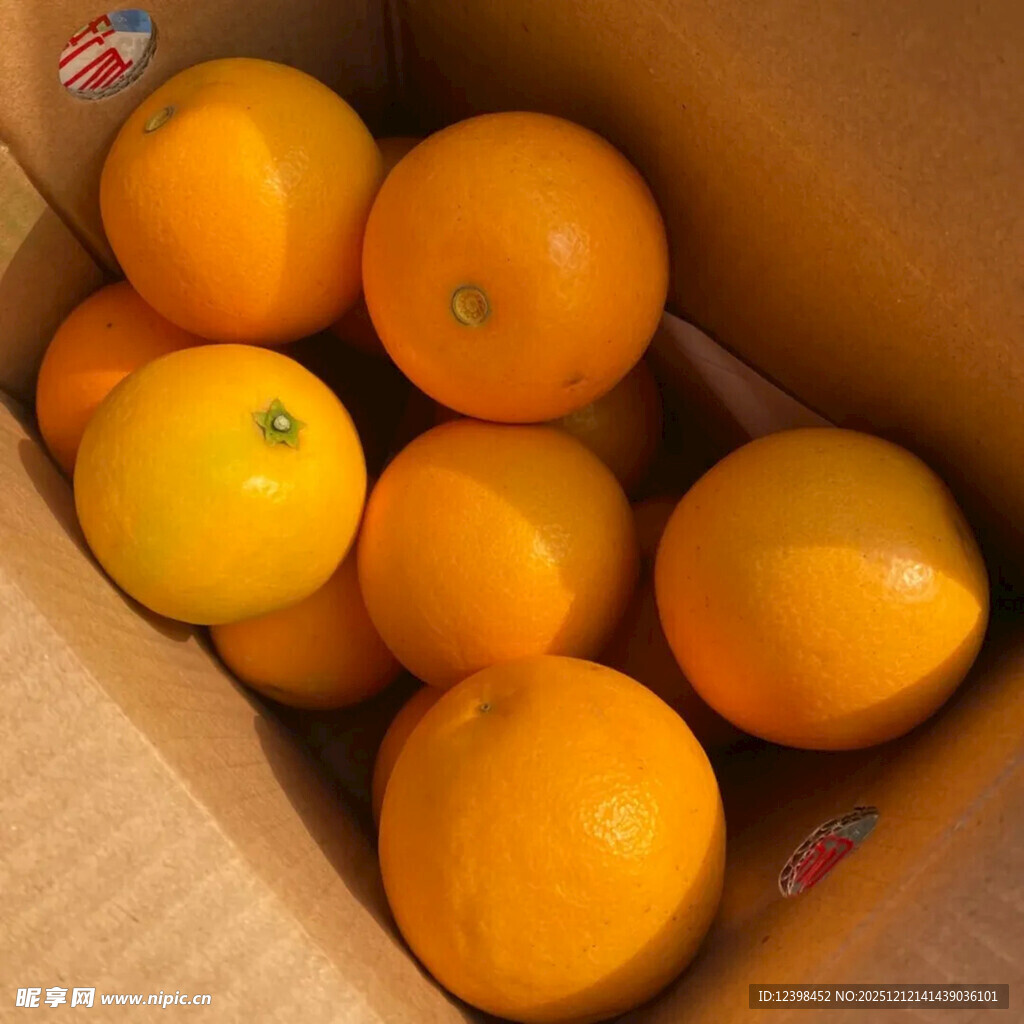 纸箱中的新鲜橙子