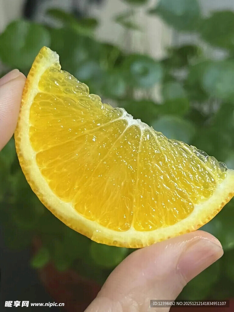 手捧鲜切橙子片