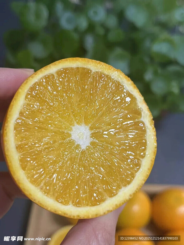 切开的新鲜橙子特写