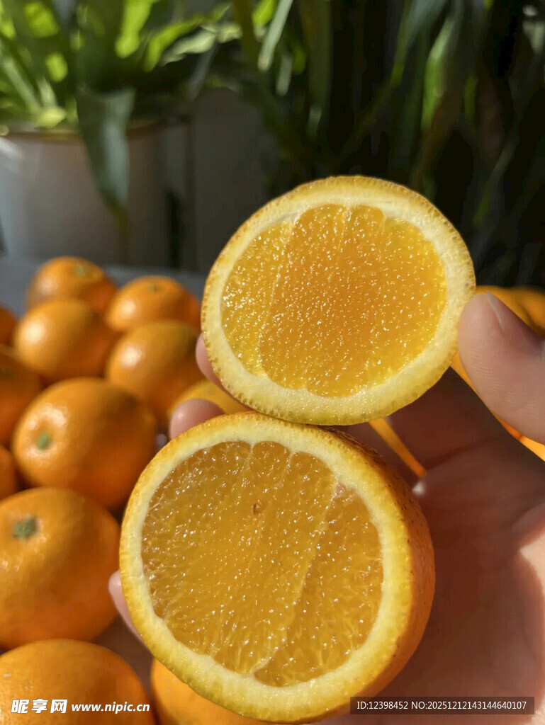 手捧切开的新鲜橙子
