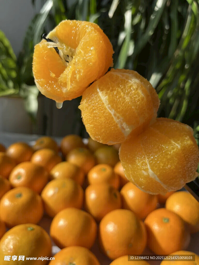 剥开的橘子置于橘子堆上