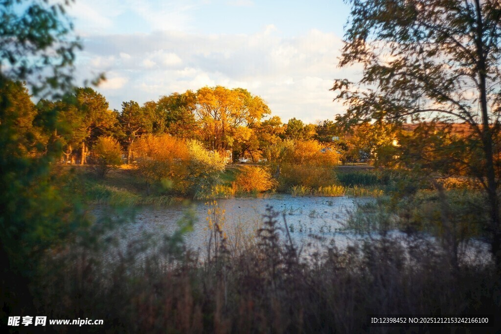 秋日湖畔美景