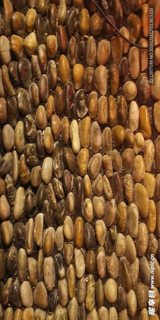 谷物颗粒特写纹理