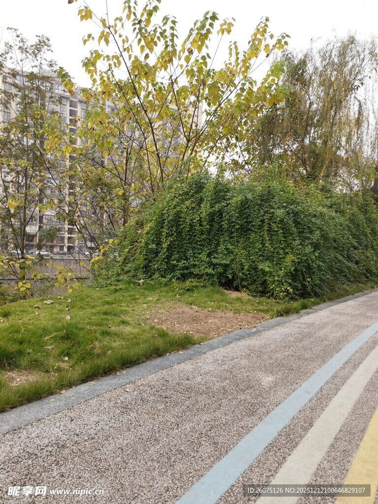 城市中宁静的多彩步道