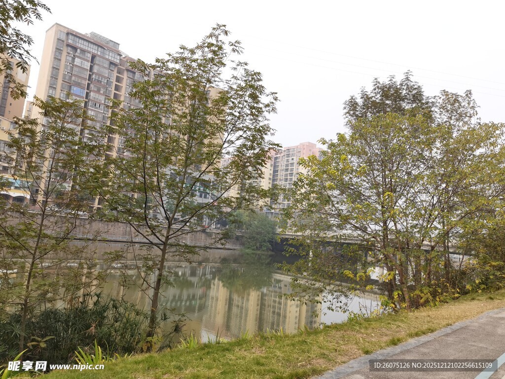 城市河畔风景