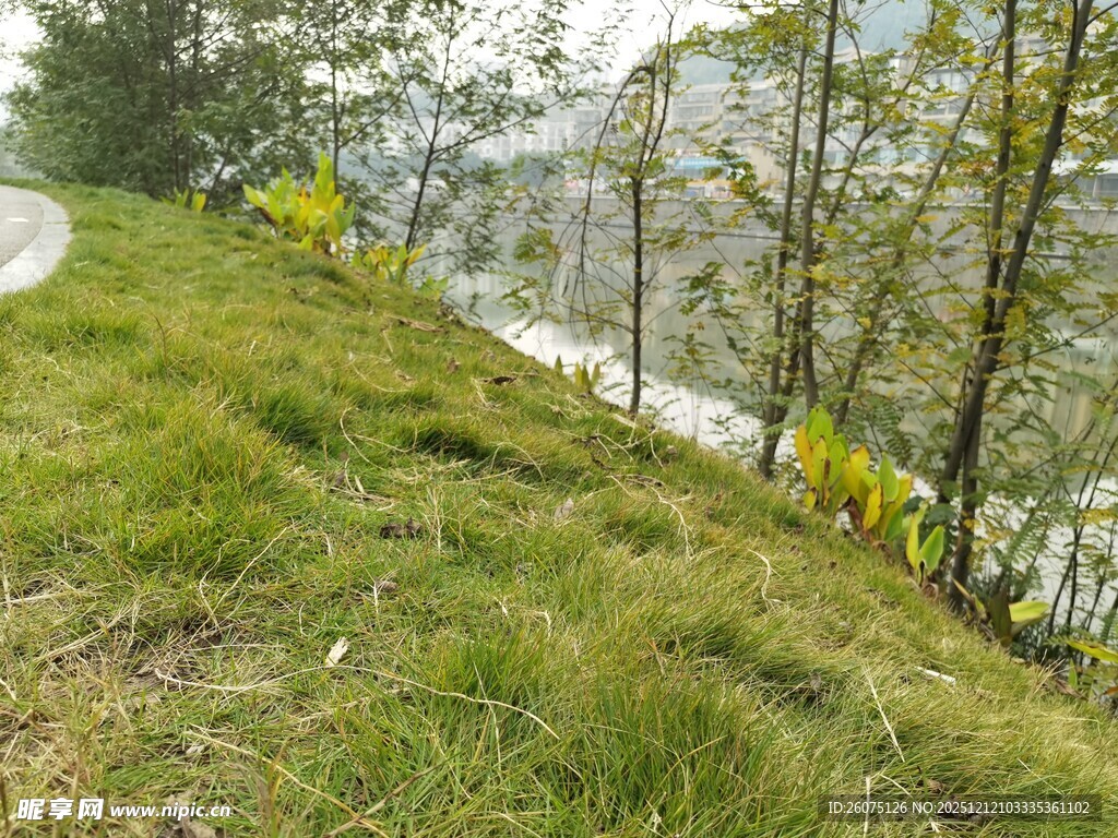 山间草地旁的蜿蜒小路