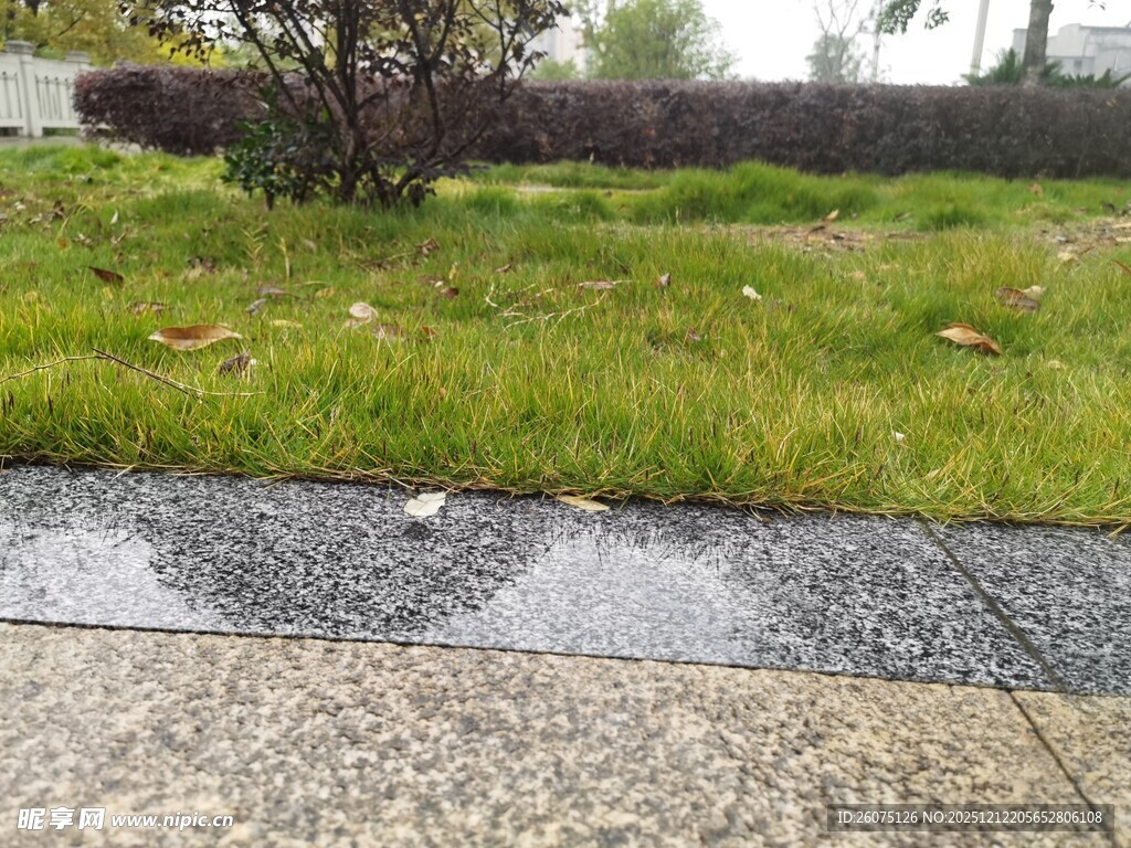 雨后湿漉草地与砖石路面