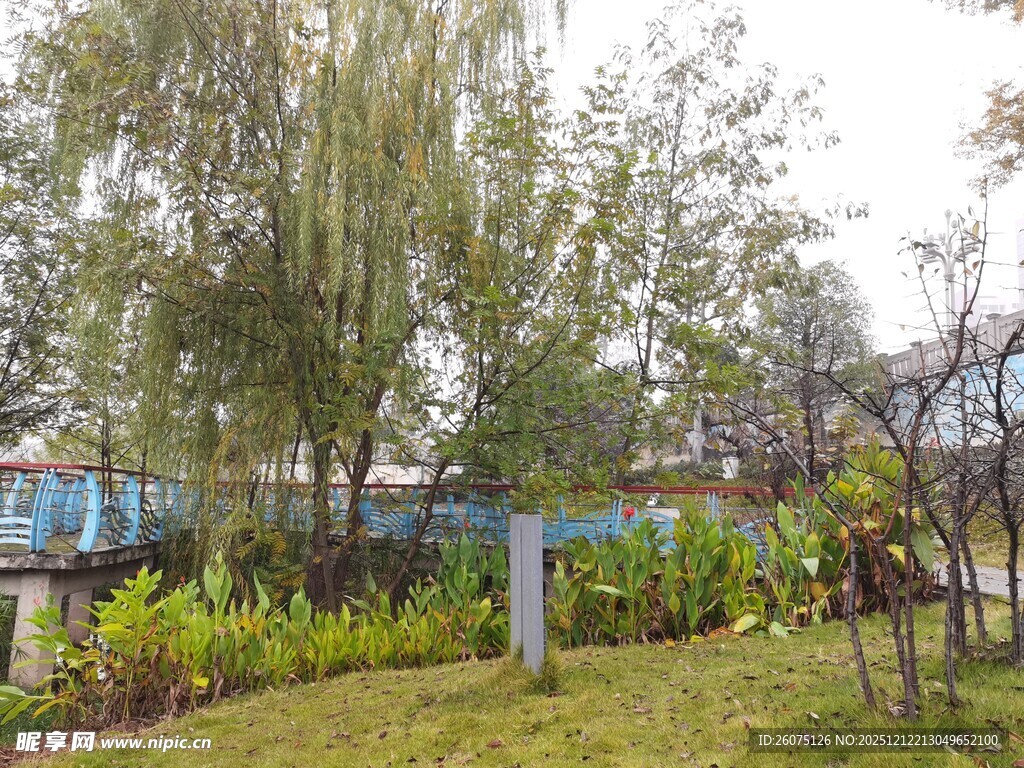 户外绿意盎然的园林景致