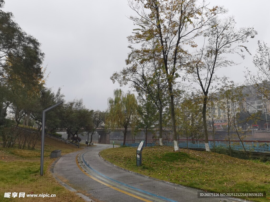 蜿蜒小路旁的树木景观