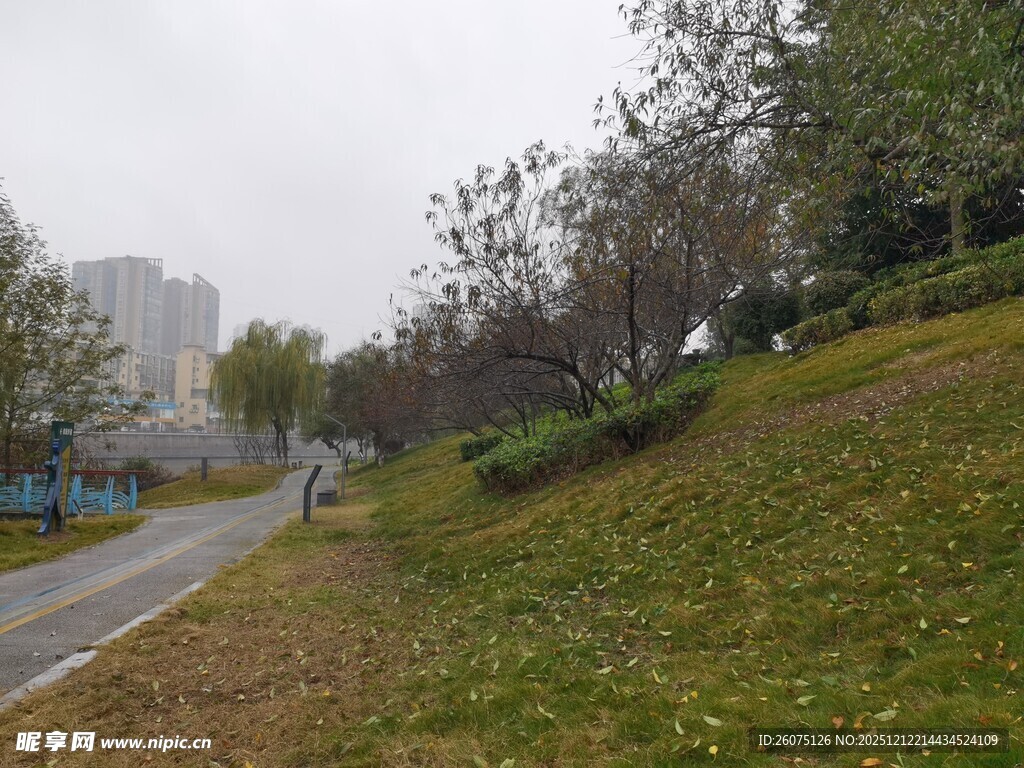 城市公园中的蜿蜒小路