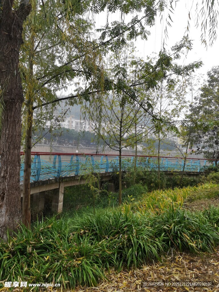 林间栈道自然景致迷人