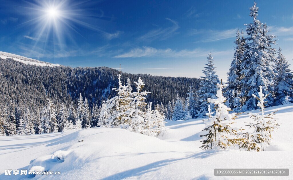 冬日雪景