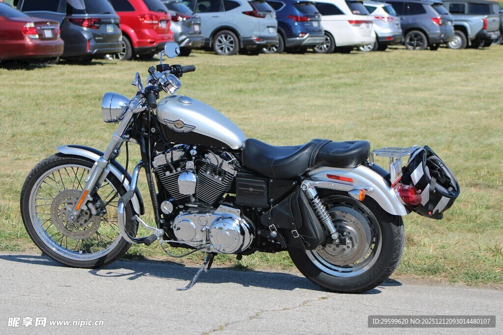 银色复古摩托车停于草地