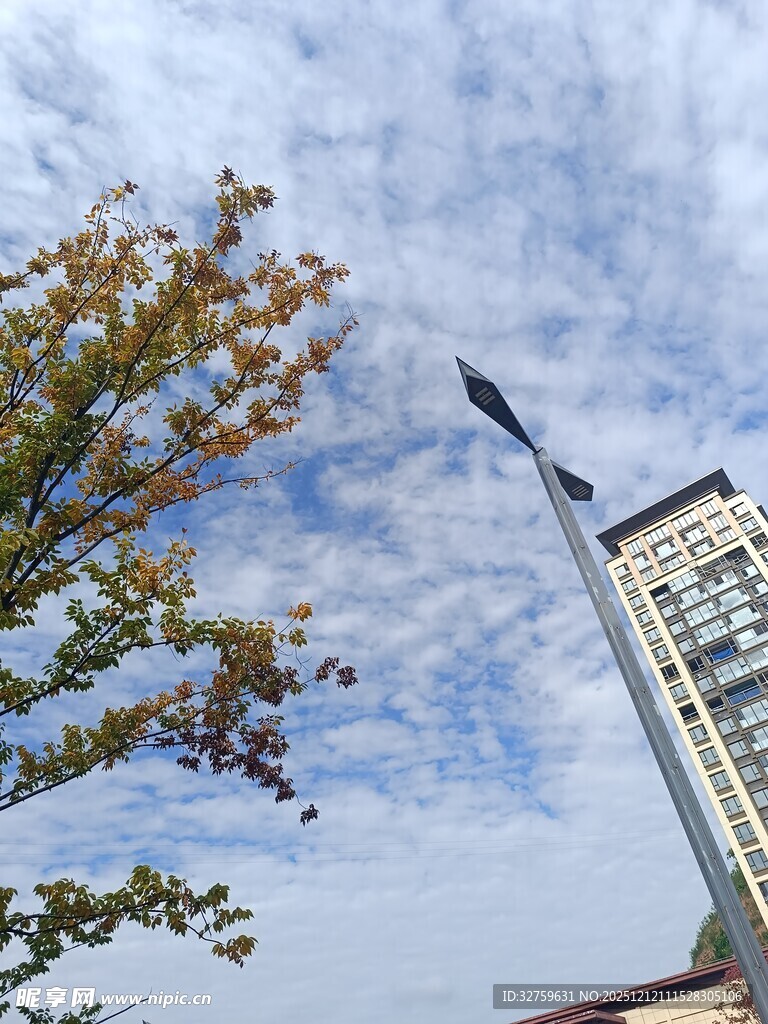 蓝天绿树旁的高耸建筑