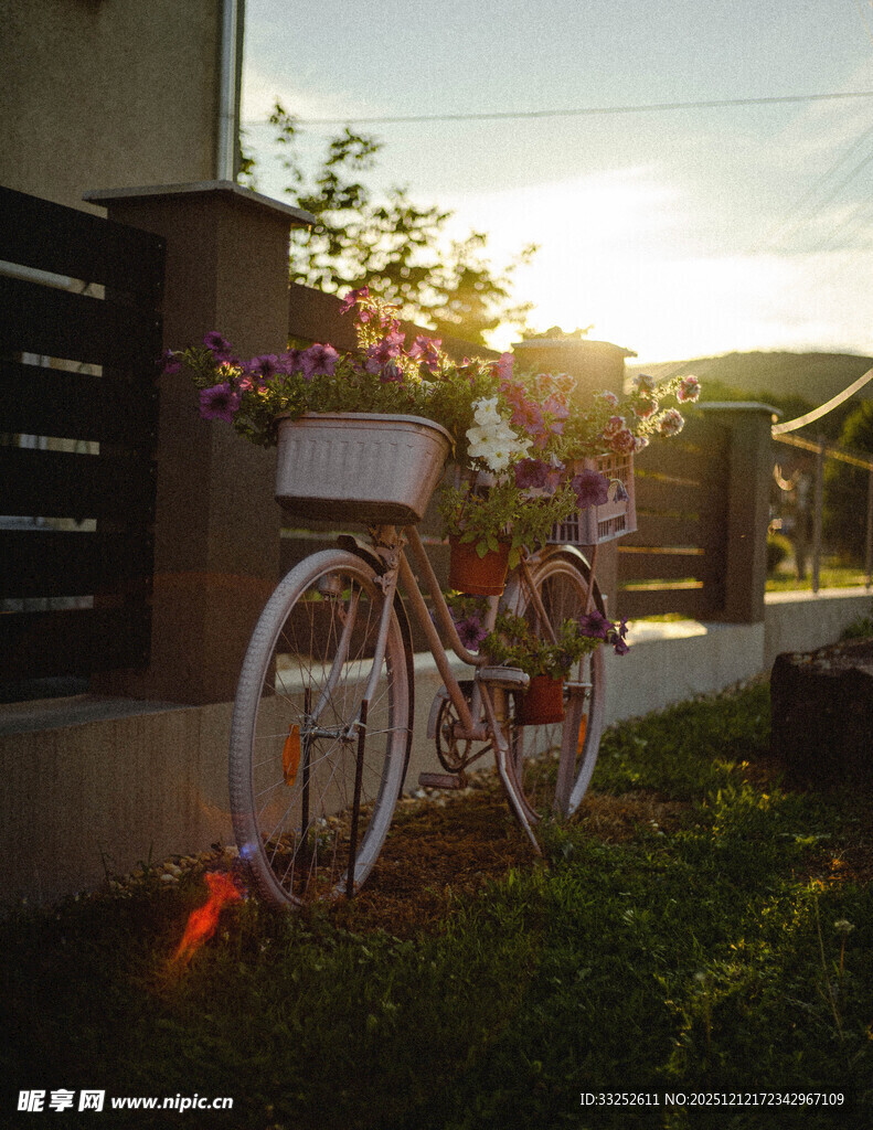 夕阳下的浪漫自行车花饰
