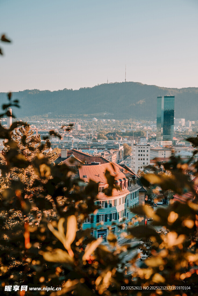 透过枝叶俯瞰城市与远山