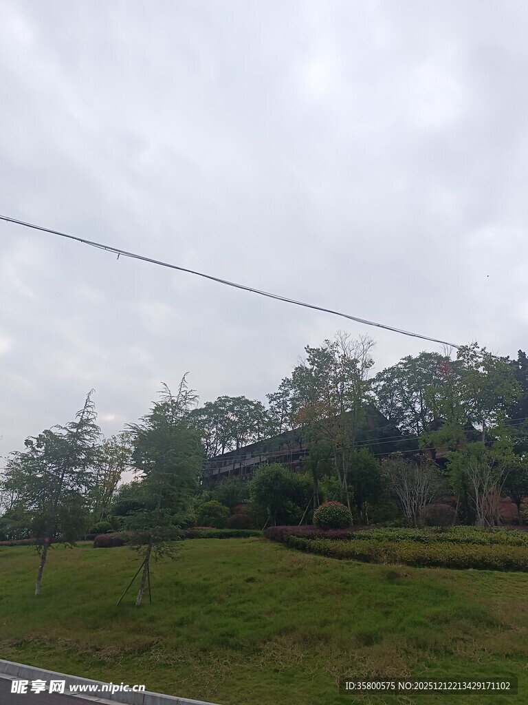 乡村公路旁的绿意景致