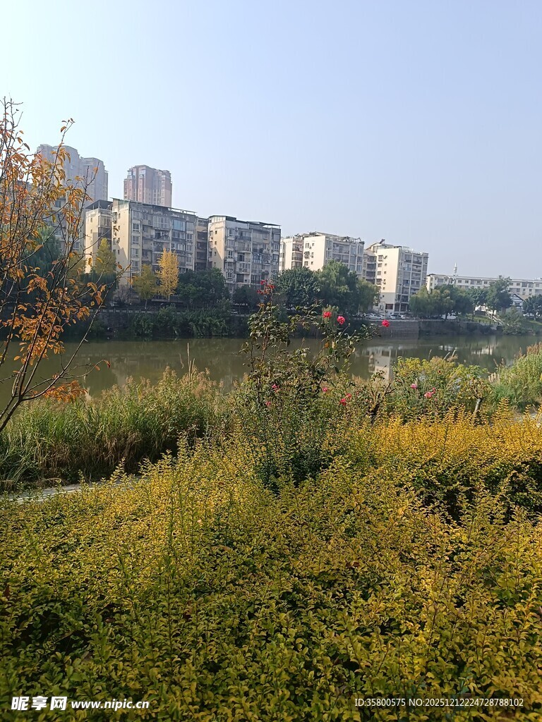 城郊草地与远处高楼景观