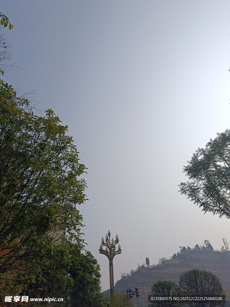 园林景观中的中式路灯