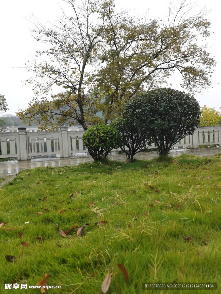 草地旁的树木与建筑景观