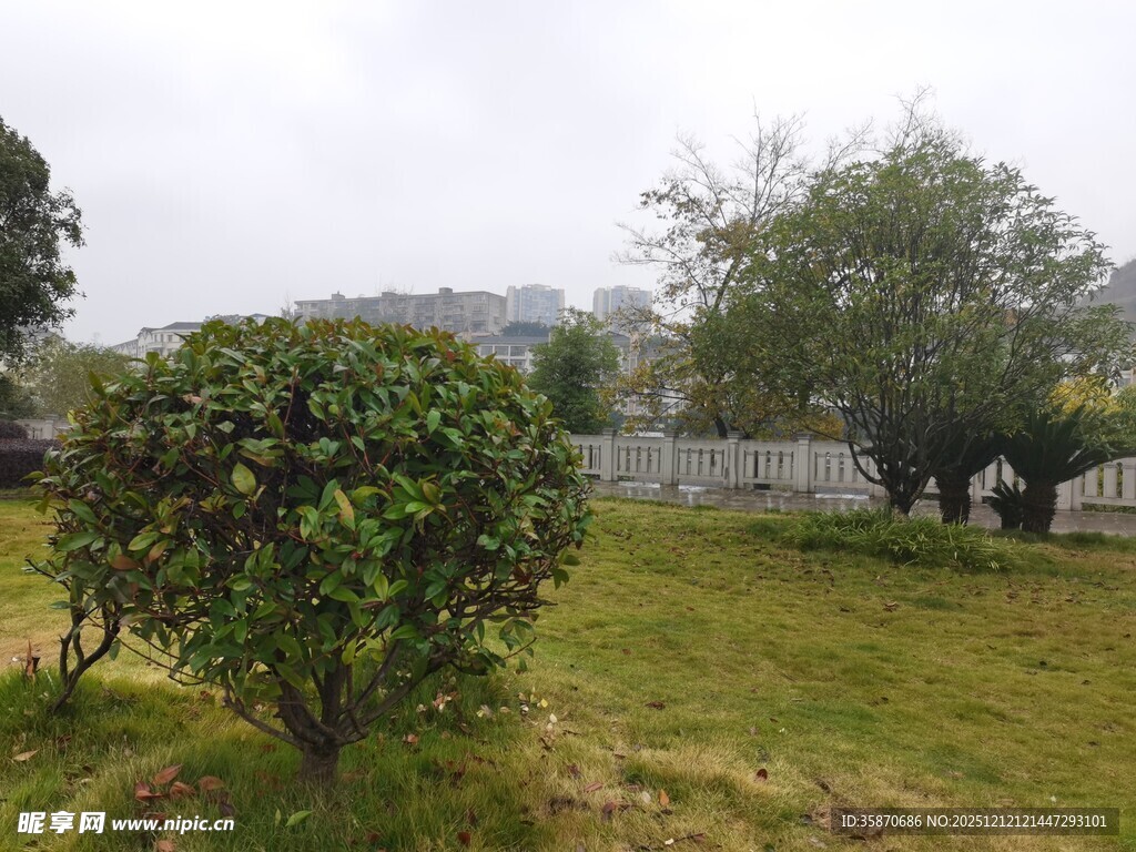 户外绿意盎然的园林景致