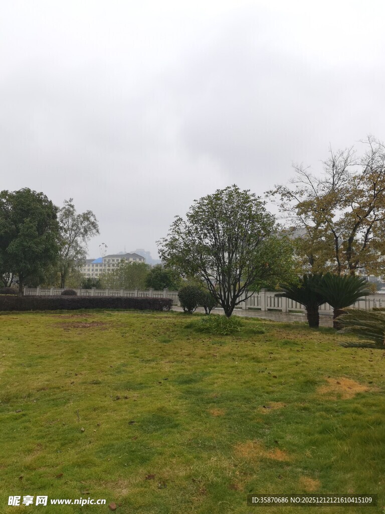 雨中开阔草地与树木景观