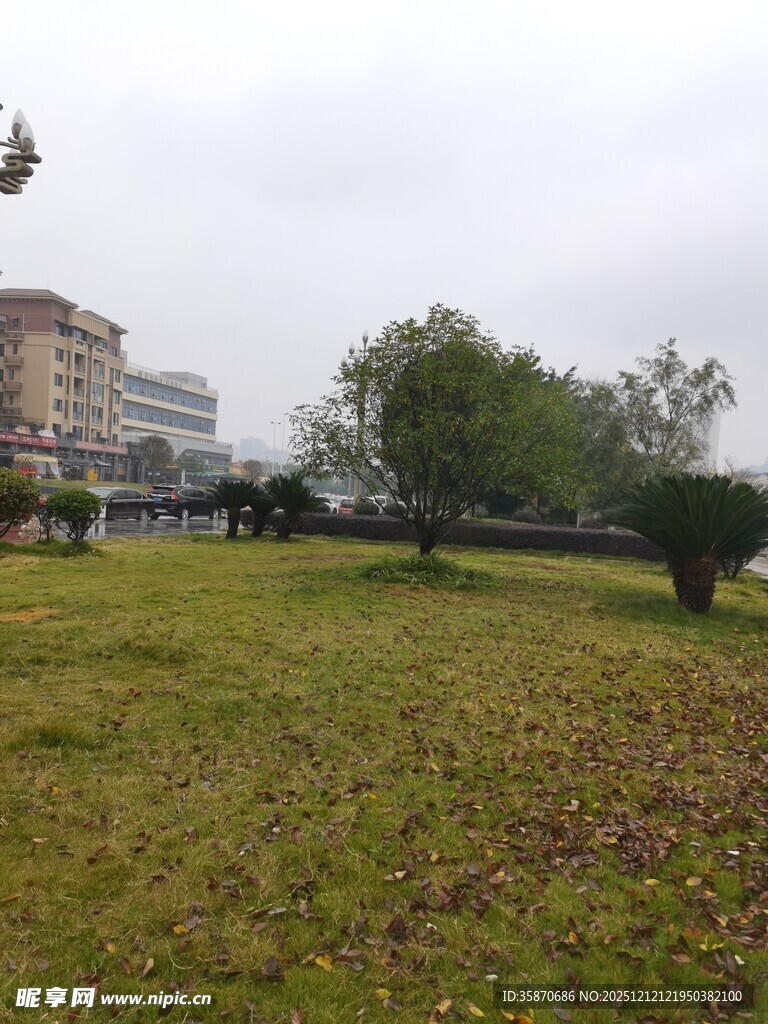 城市草地与远处建筑景观