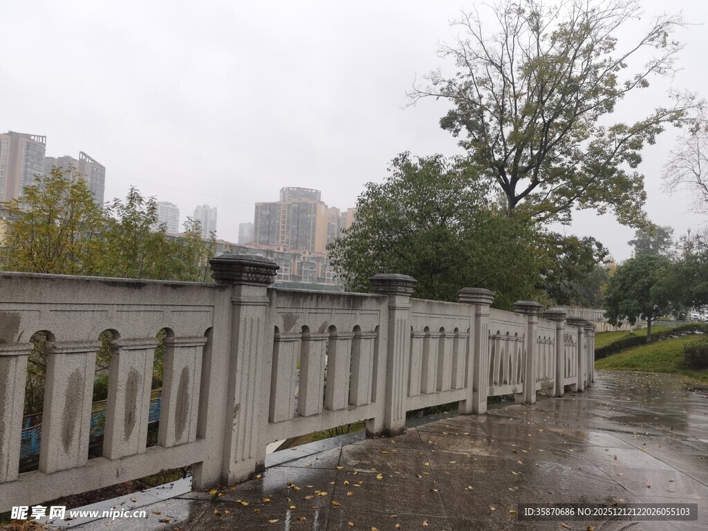 雨中桥景湿润的城市风光